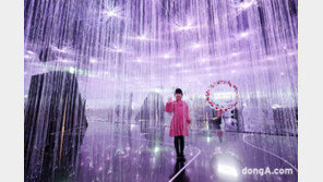 연간 관람객 13만 돌파한 래미안갤러리, 크리스마스 맞이 겨울 전시 진행