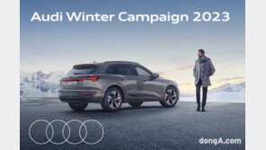 아우디, 연말까지 무상점검 실시