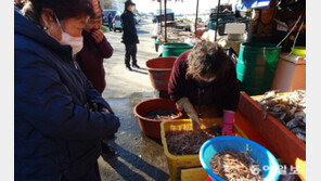 “흥정하는 맛에 북성포구 와요” 
