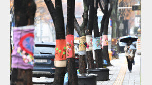 오늘 서울 영하 3도… 이번주 내내 춥다