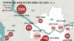 “싸게 분양” 지역주택조합, 자금난에 경매 내몰려… 돈떼일 위험 
