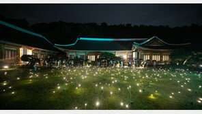 겨울밤 청와대를 거닐다…12월6~11일 ‘청와대 밤의 산책’