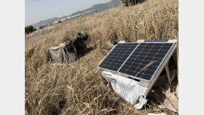 무인도 갈대밭에 번호 바꿔주는 중계기 숨긴 보이스피싱 일당 23명 검거