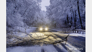때이른 겨울 한파·폭설로 북유럽 곳곳 대혼란…학생들 귀가못해 학교서 밤새워