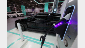 ‘전기차 찬바람’ 韓 유독 심해…“저렴이로 승부” 좋은 차 쏟아진다