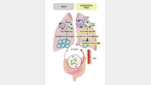 프로바이오틱스, 장 건강에만 좋은 줄 알았는데…독감까지 잡아