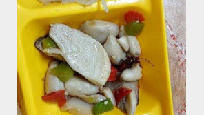 고등학교 급식 반찬서 벌레가…일주일새 두번이나 발견