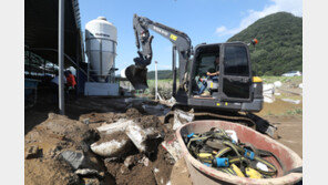 더 강한 태풍 온다…2060년까지 한반도 해수면 온도 2.2도 상승