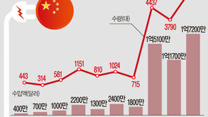 테슬라·볼보, 뜻밖의 생산지…“중국산 전기차 급증”