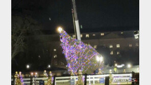 강풍에 ‘풀썩’ 쓰러진 美 백악관 크리스마스트리