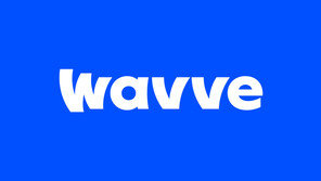 넷플릭스 대항마?…티빙·웨이브 합병 ‘초읽기’