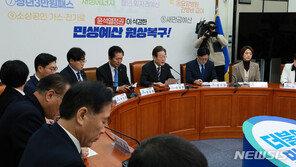 與 “민주, 막말과 한몸…尹 선택한 국민이 쿠데타 세력인가”