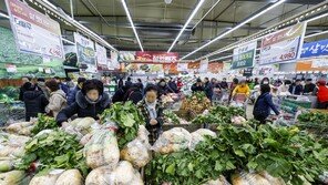 ‘10월 농축산물 물가’ 1년전보다 8% 올라 