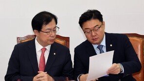 與당무위 “구설수 의원 별도 리스트 추가”… 영남 의원들 “기준 투명해야” 반발 