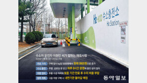 거꾸로 가는 ‘수소차 생태계’… 내수, 1년새 반토막 