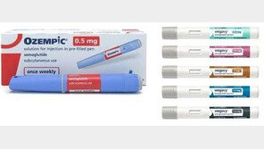 “없어 못판다” 비만약 돌풍에…‘가짜 위고비’ 잇단 등장