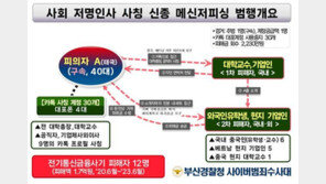 교수·공직자 카톡 사칭, 해외 대리송금 가로챈 신종 사기범