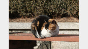 주말까진 -9도 ‘강추위’ 계속…다음주 풀려도 아침 -6도