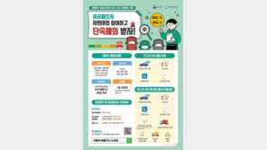 오늘부터 배출가스 5등급 차량 운행 시 과태료 10만원