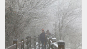 ‘대설주의보’ 한라산에 7.5㎝ 눈…탐방로·1100도로 일부 통제