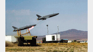 이란 지원받은 예멘 후티 반군, 홍해서 美 군함-상선에 미사일 공격