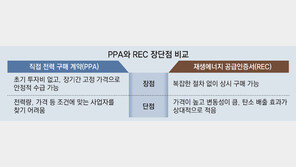 [단독]삼성전자, 유럽서 재생에너지 첫 직접 구매 추진