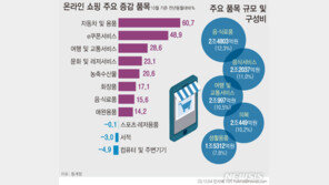 10월 온라인쇼핑 20조원…임시공휴일로 여행·교통 29%↑