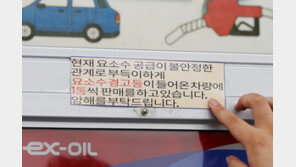 정부, 中에 요소수 통관지연 문제제기…“공급망에 부정적, 즉각 조치해야”