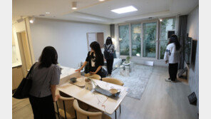 “저세상 분양가”…서울 외곽 소형아파트 18평 최고 11억 나왔다