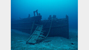 생태계 교란 홍합 덕분에?…다큐 촬영 중 128년 된 난파선 발견