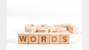 옥스퍼드 선정 올해의 英단어 ‘리즈(rizz)’…무슨 뜻이길래?