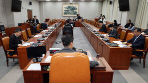 딥페이크, 선거운동 90일 전부터 전면금지…정개특위 소위 통과