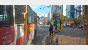 울산 북구, 스쿨존에 2.8m 높이 반사경 설치 