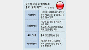 미쓰비시 철수 이어 도요타도 감산… 日자동차 ‘脫중국’ 가속 