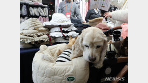 수의사 10명중 9명 “동물학대 의심사례 진료한 적 있다”