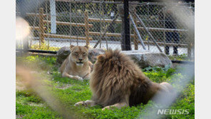 동물원 등록제→허가제로…‘야생동물 환경’ 못 만들면 못 한다