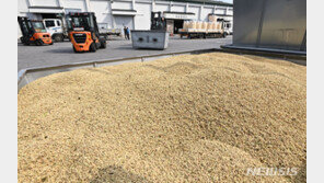 쌀값 20만원선 붕괴에…농식품부 “쌀 저가 판매 자제해달라”