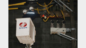 세종서 승용차가 변압기 ‘충돌’…종촌동 일대 2천여가구 ‘정전’