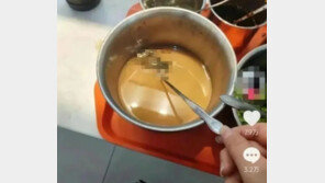 “이번엔 학교 구내식당 양념통서 쥐가”…中 식품 위생 논란 재점화