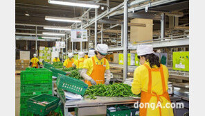 농협경제지주, 농산물 도매공급 실적 1조5400억 돌파