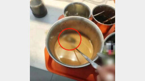 中학교 구내식당 양념통에 쥐가 둥둥…또 불거진 위생 논란