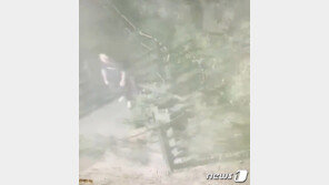 천변서 산책 여성 풀숲 끌고 간 40대…목 조르고 성폭행 시도