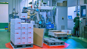 용접부터 팔레타이징까지…보폭 넓히는 ‘협동로봇’