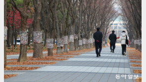 “제 옷 어떤가요?… 작지만 따뜻해요” 