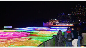 부산의 별이 빛나는 밤에 