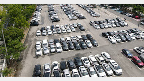 “짜증나” 돌멩이로 주차 차량 13대 긁은 40대 징역형