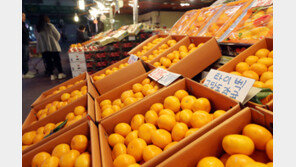 귤·단감도 못 먹겠네…사과·배 폭등 영향에 덩달아 오름세