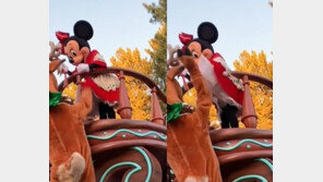 디즈니랜드서 미니마우스 치마를 ‘확’…“애들 따라하면 어쩌려고”