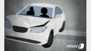 차에서 20대男 2명 극단 시도…女차주는 집에서 숨진 채 발견