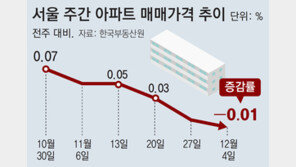 서울 아파트값 8개월 만에 하락 전환… ‘조정 국면 진입’ 여부 촉각 